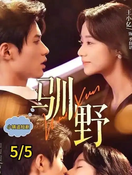 长夜将明 剧集海报